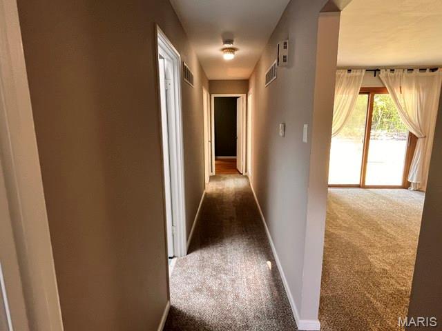 1301 Monacco Court Property Photo 15