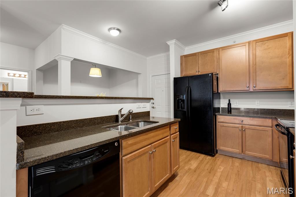 1241 Strassner Drive 1203 Property Photo 4