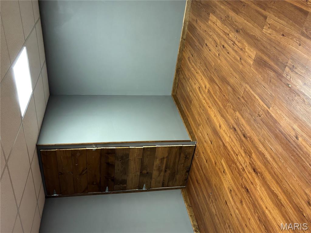 917 Chicago Street Property Photo 22