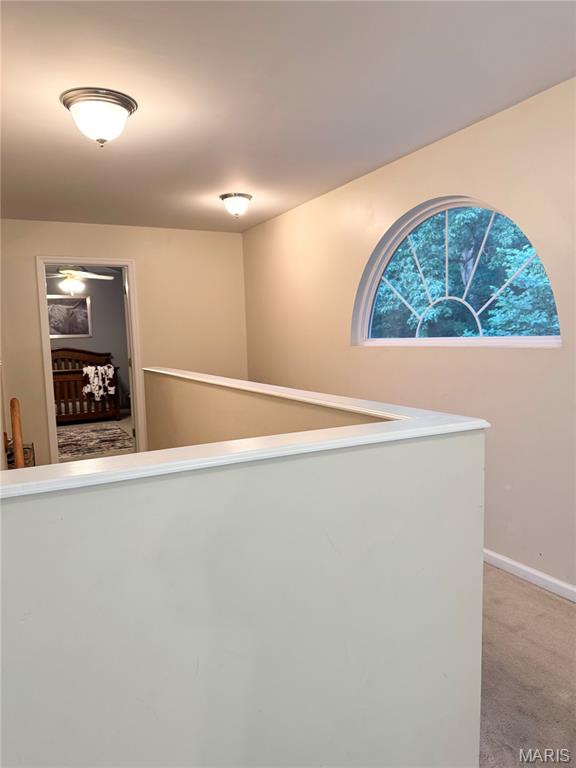 501 Arrowhead Point Property Photo 19