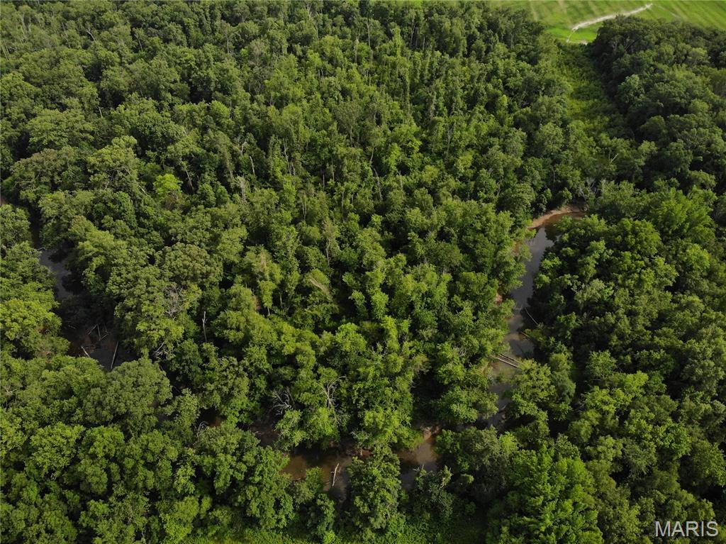 25944 State Route 161 Property Photo 4