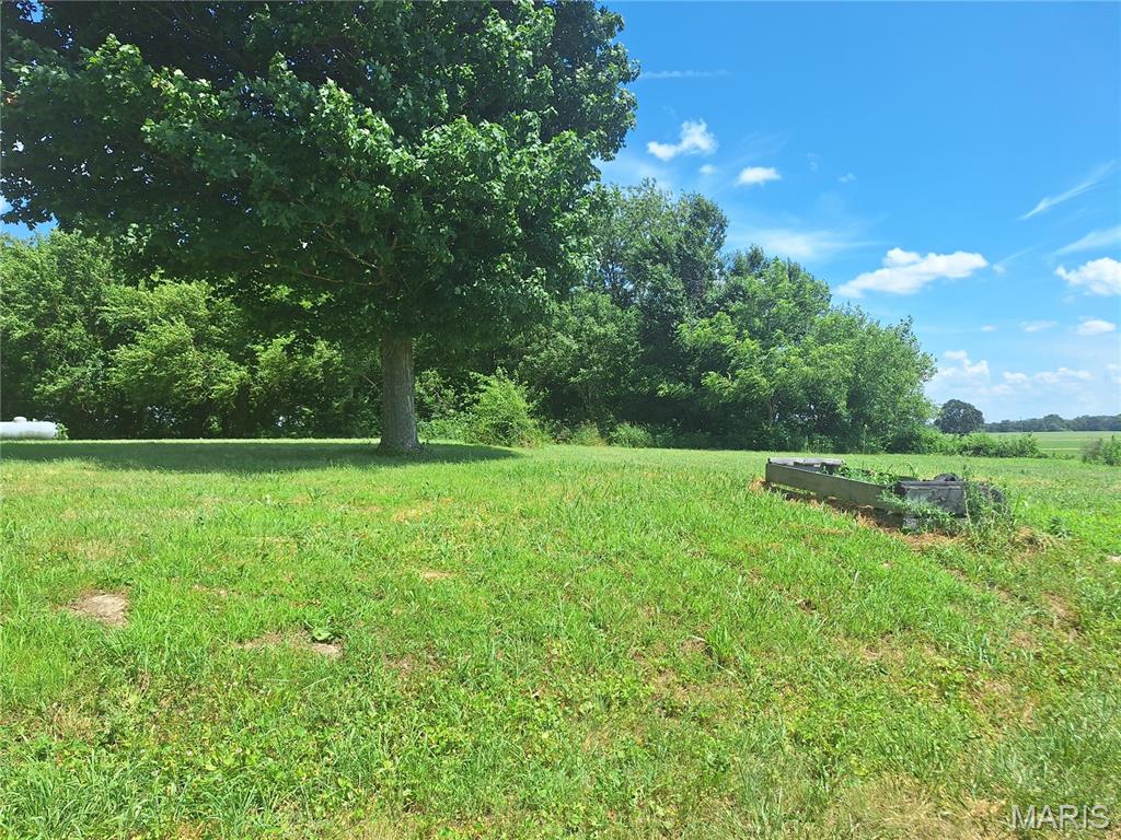 10325 Rose Road Property Photo 5