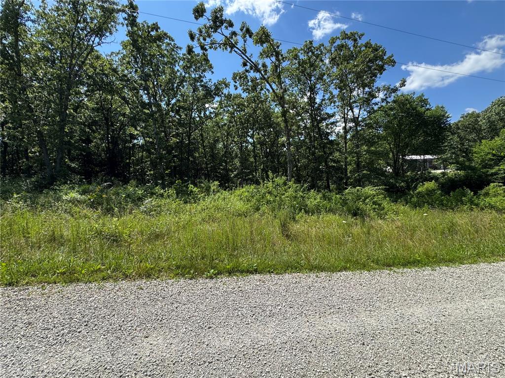0 Valley Creek Drive Property Photo 1