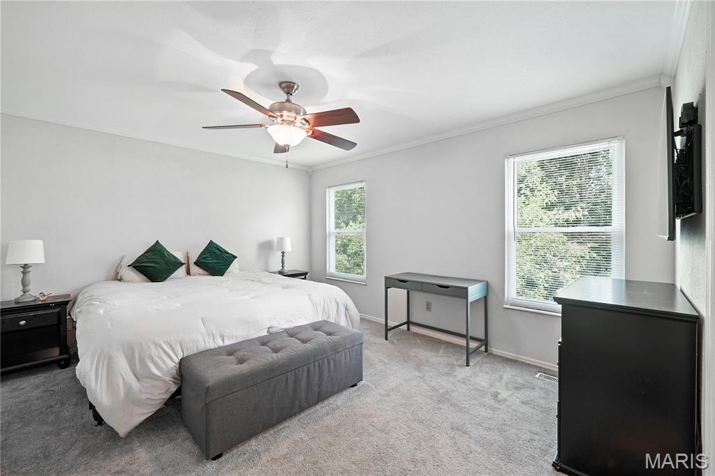 810 Ginger Wood Court Property Photo 9