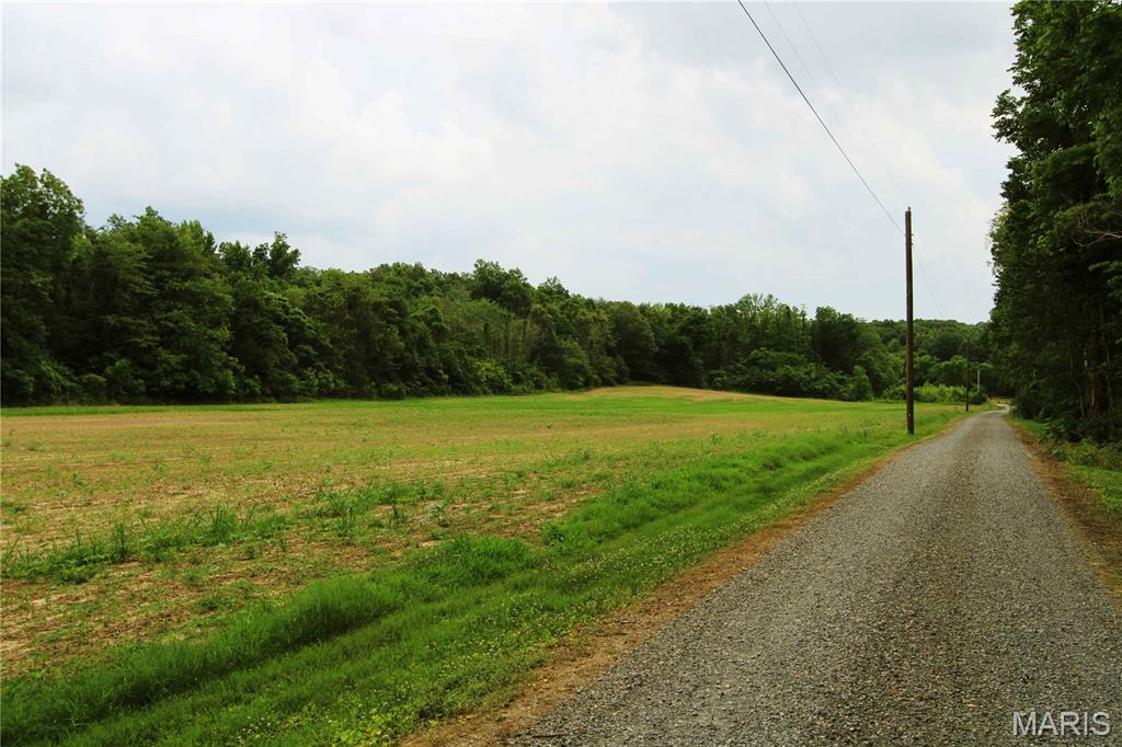 0 County Road 259 Property Photo 1