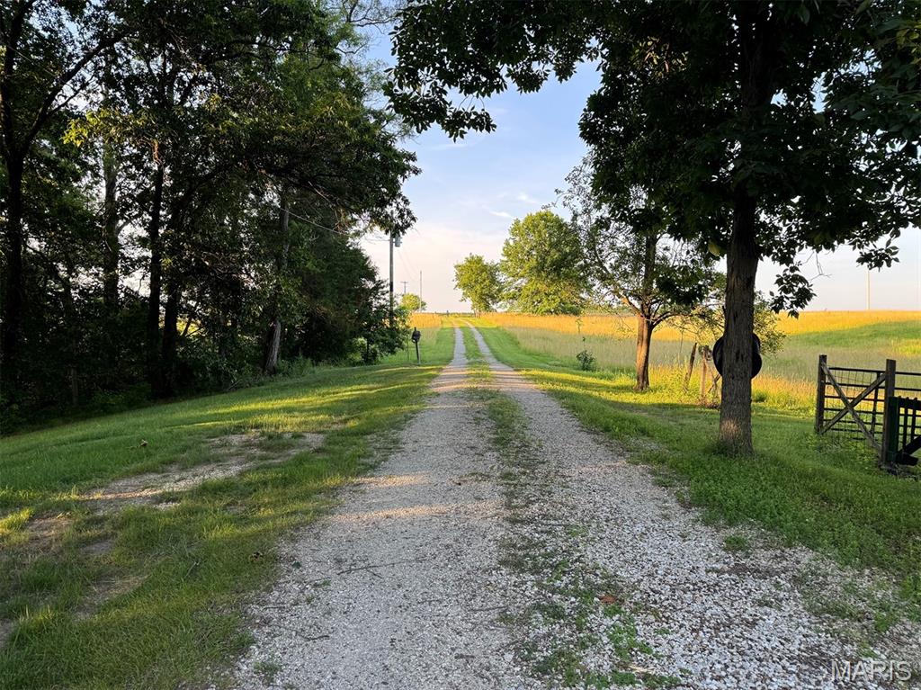 32708 State Route 81