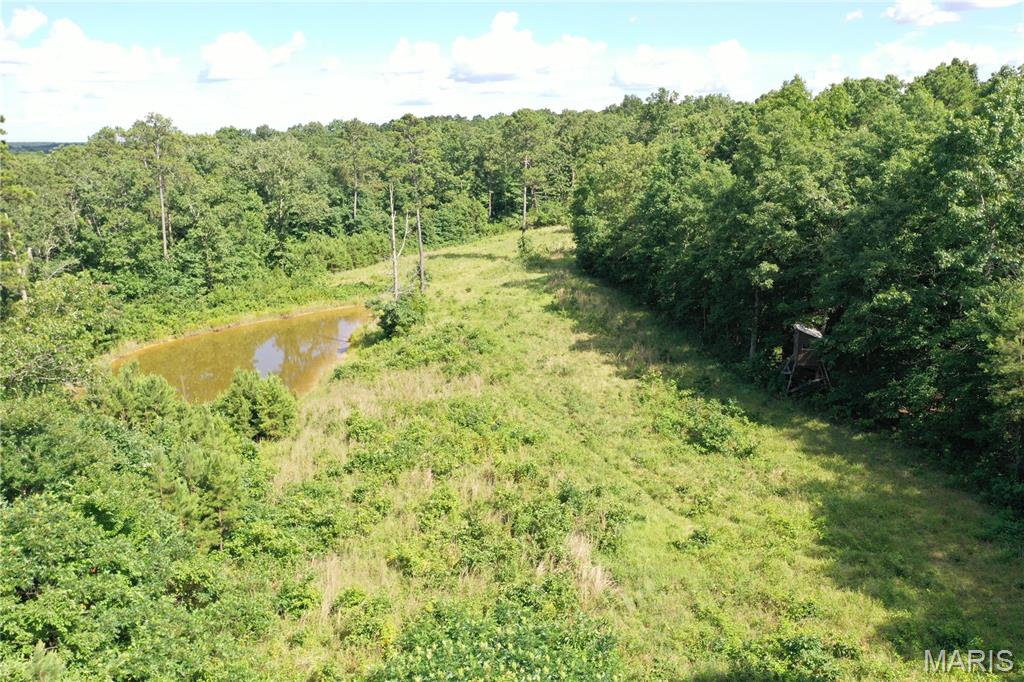 Tbd Carter 247 Property Photo 1
