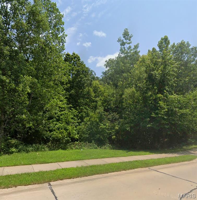 0 Hillside Ct Street Property Photo 1