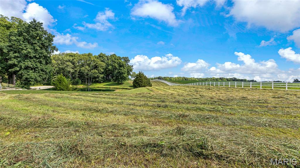 2950 Zingg Road Property Photo 65