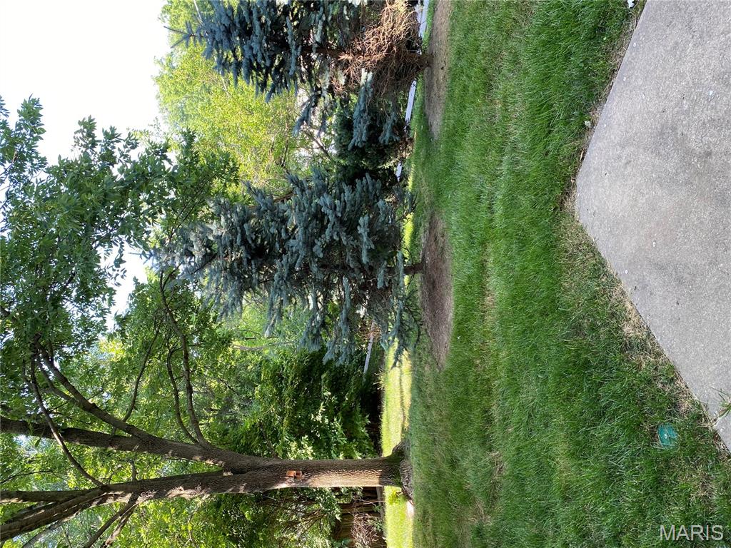 12020 Jacobson Court Property Photo 35
