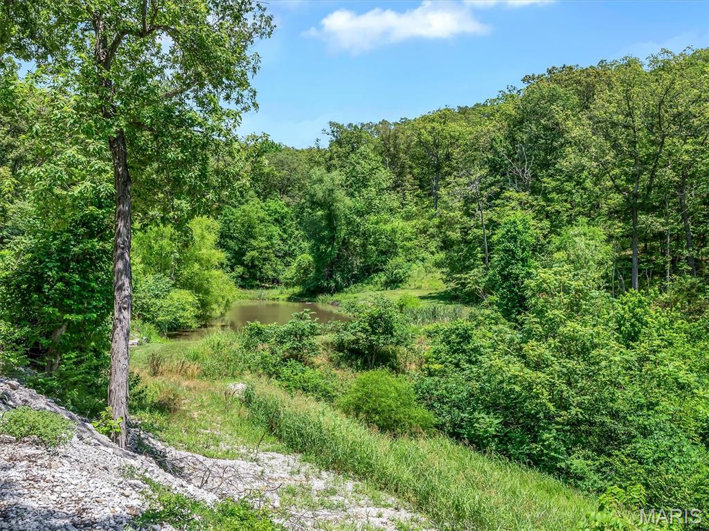 2503 Highway F Property Photo 5