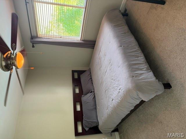 11017 Sandistan Drive Property Photo 16