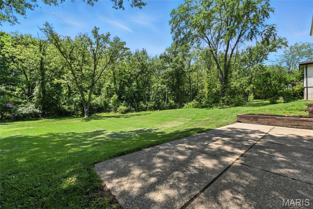 15282 Springrun Drive Property Photo 29