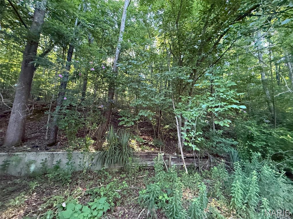 19914 State Highway Mm Property Photo 6