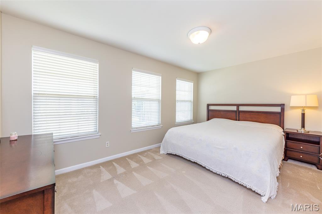 602 Whispering Willows Court Property Photo 27