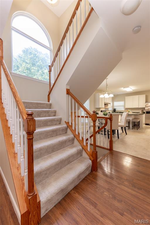 602 Whispering Willows Court Property Photo 46