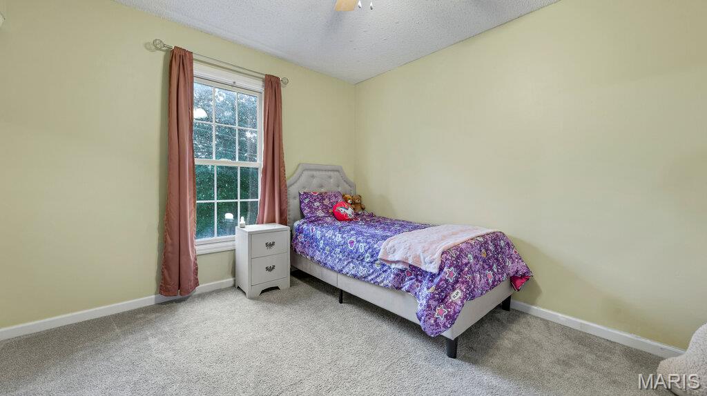344 Mitulski Drive Property Photo 17