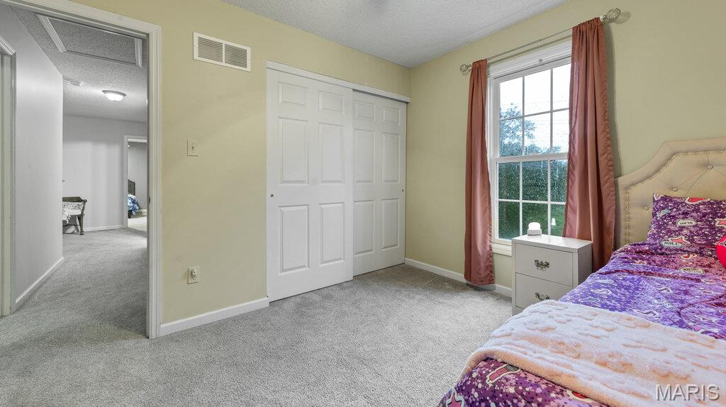 344 Mitulski Drive Property Photo 18