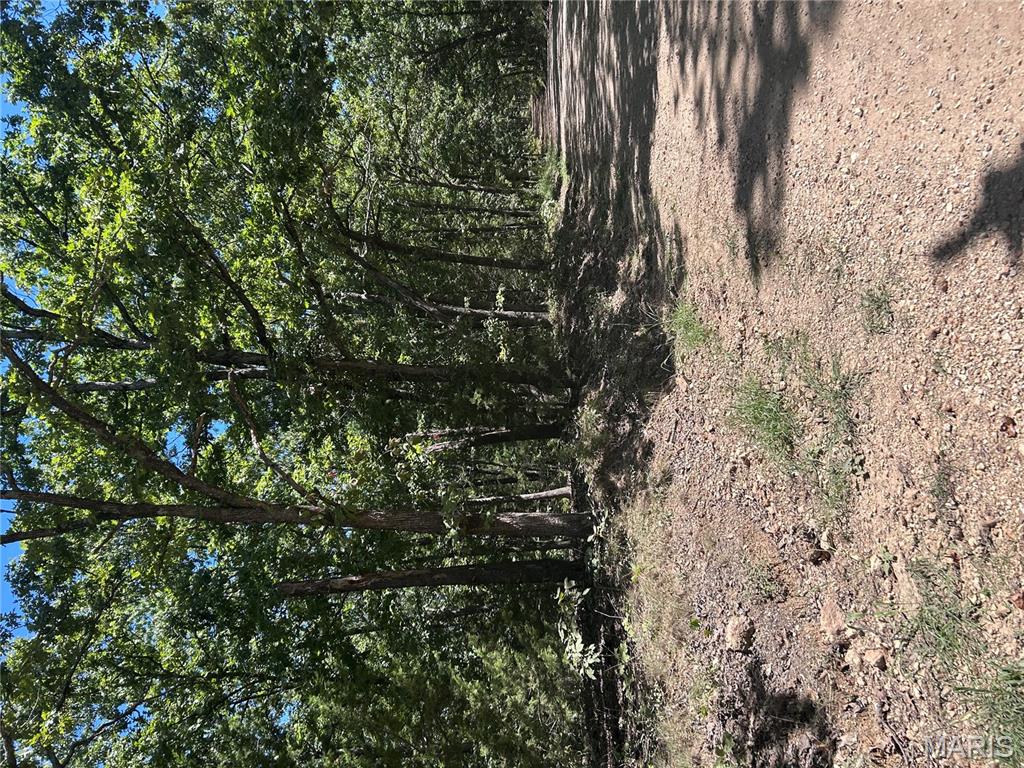 25046237 Property Photo 1