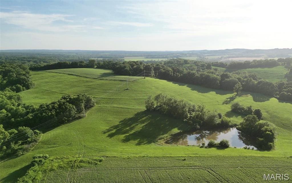 115.6 Ac Hwy 79 Property Photo 1