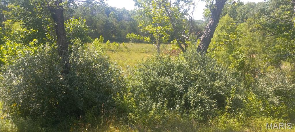 5199 Highway N Property Photo 13