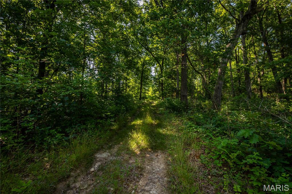Tbd Beechnut Road Property Photo 1