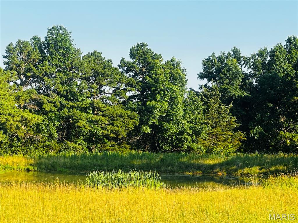 Tract 11d Audrain Rd 935 Property Photo 1