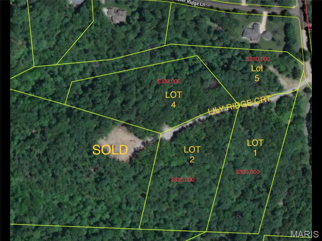 5011 Lily Ridge Property Photo 2