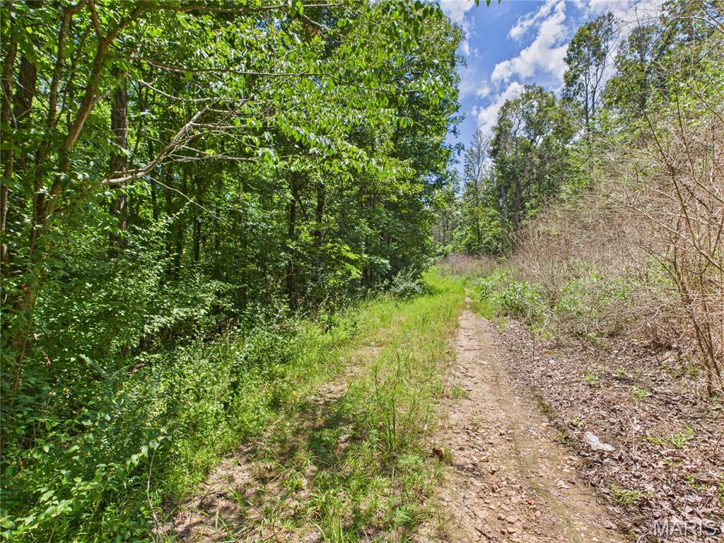 Lot 142 Crestwood Drive Property Photo