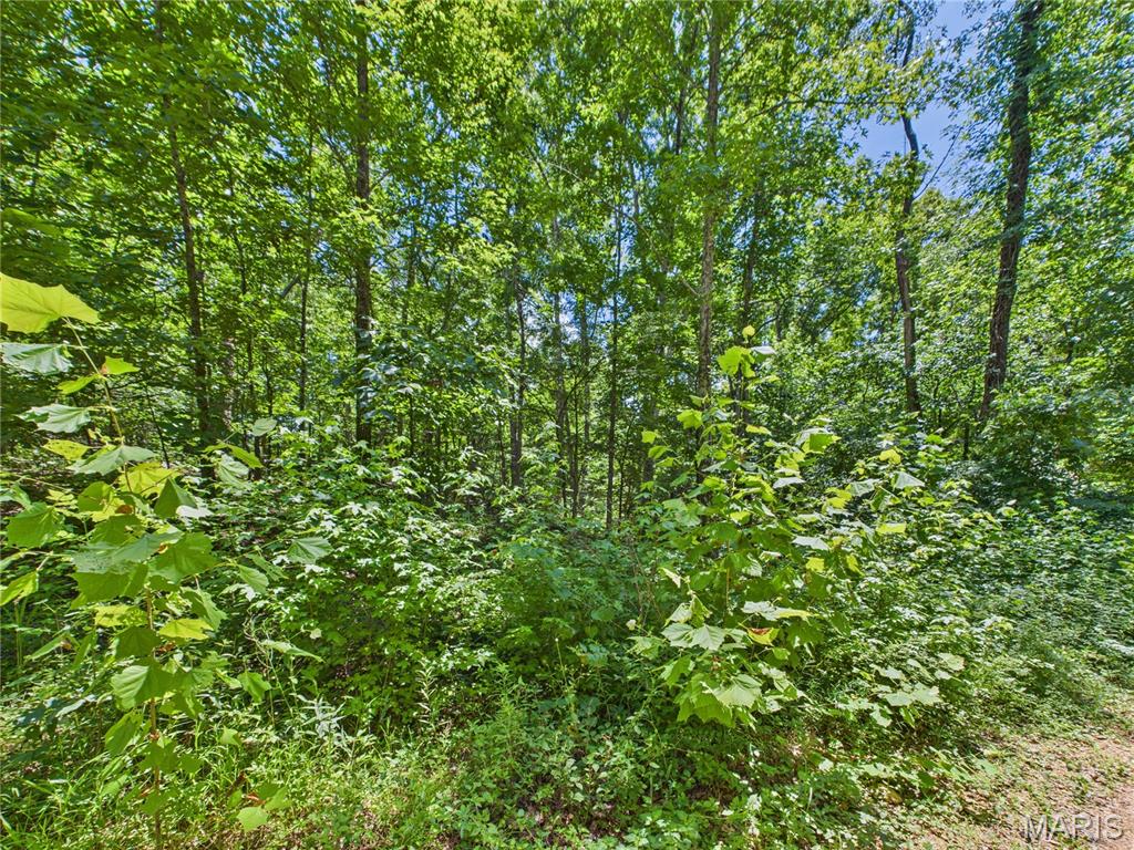 Lot 333 Crestwood Drive Property Photo