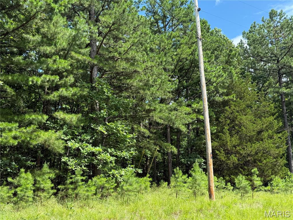 386 County Road 205 Property Photo 45