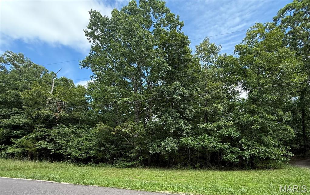 386 County Road 205 Property Photo 46