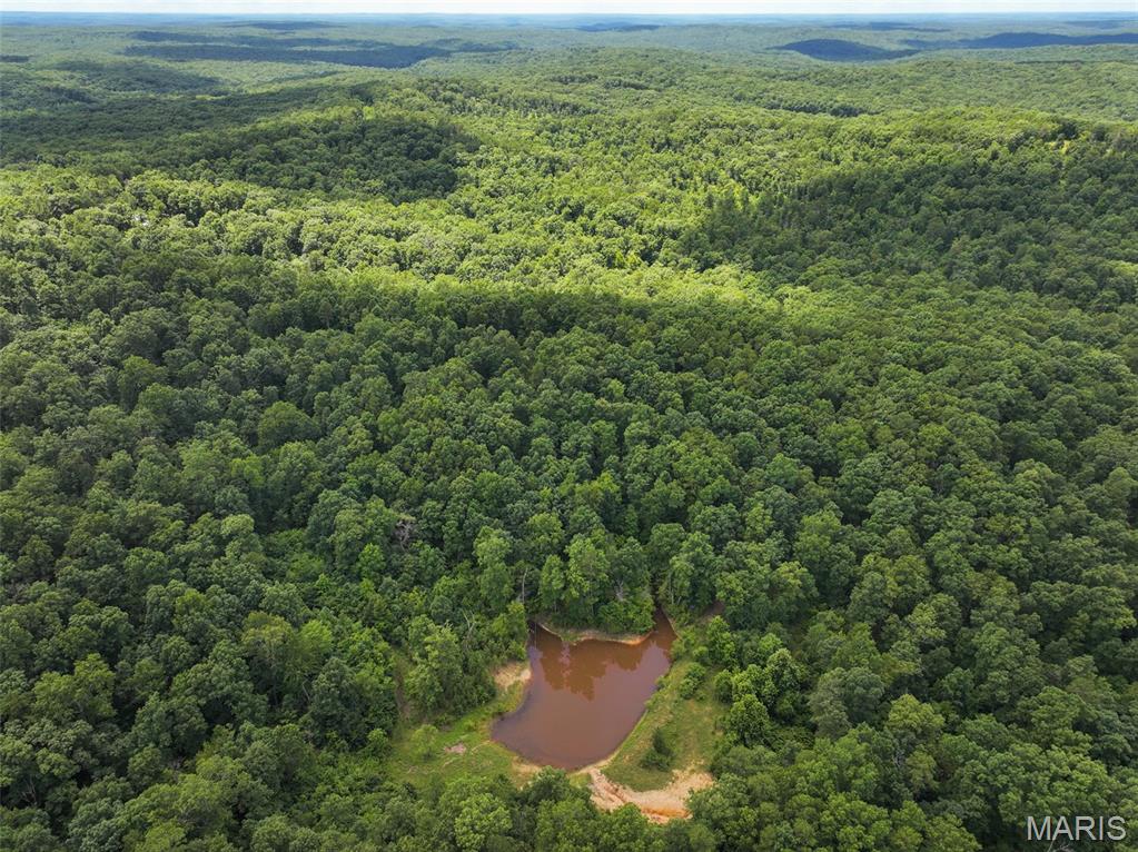 12251 Stone Ridge Road Property Photo 1