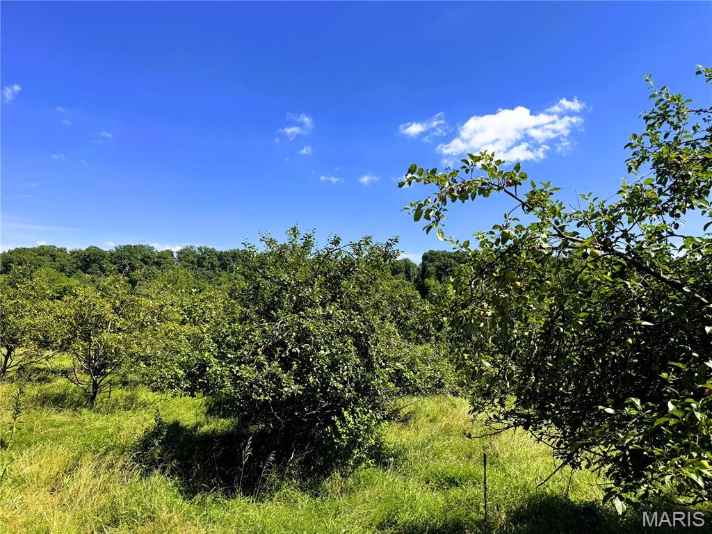 65 Oak Valley Drive Property Photo 11