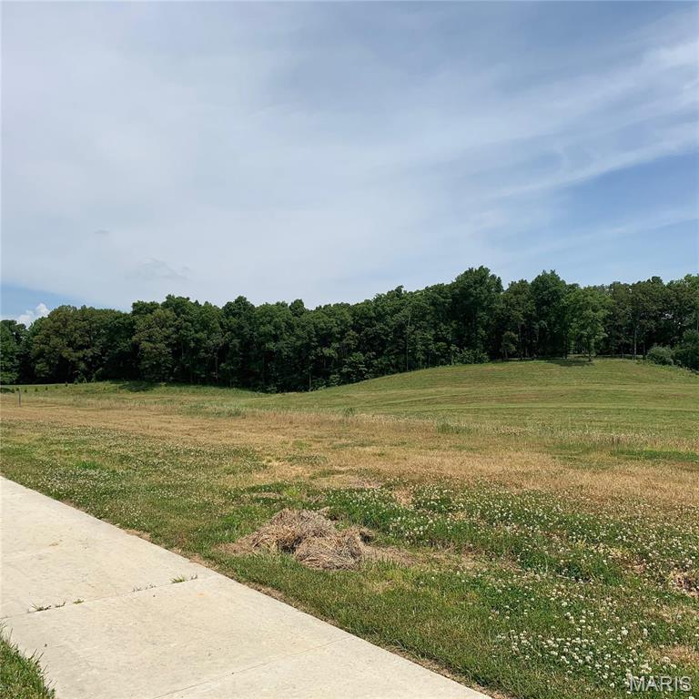 4515 Doe Run Property Photo 2