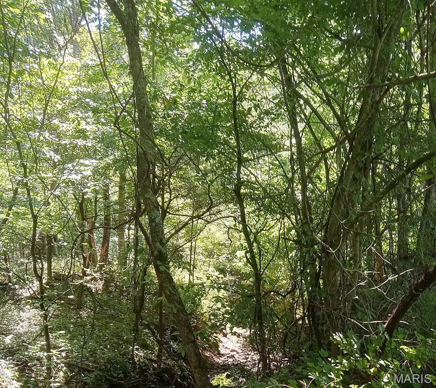 7ac East Casco Rd Property Photo 5