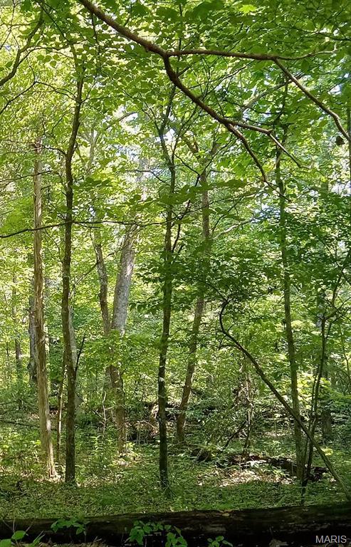 7ac East Casco Rd Property Photo 6