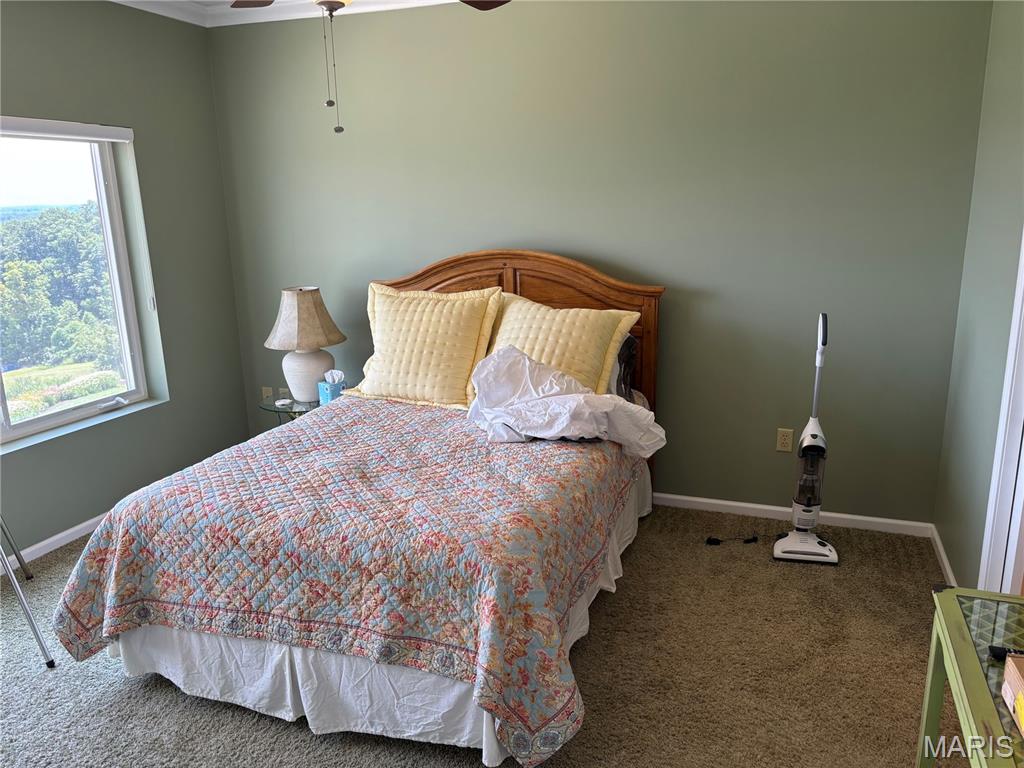 401 Timber Ridge Drive 16 Property Photo 19