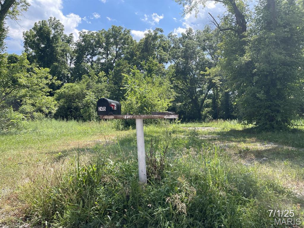 2416 Lorraine Drive Property Photo 2