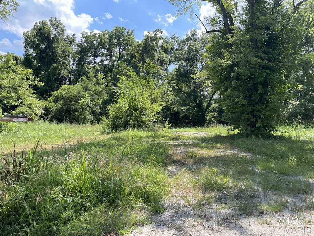 2416 Lorraine Drive Property Photo 3