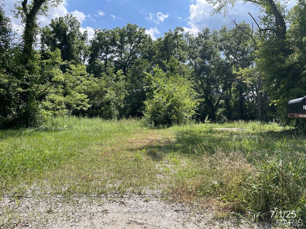 2416 Lorraine Drive Property Photo 4
