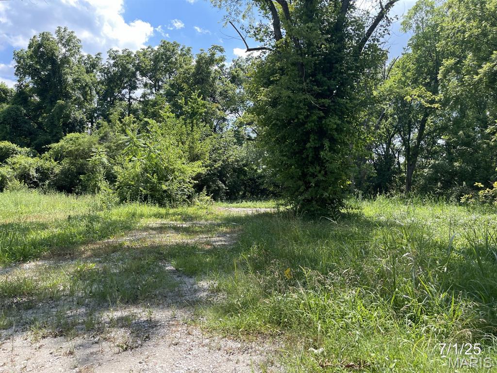 2416 Lorraine Drive Property Photo 5