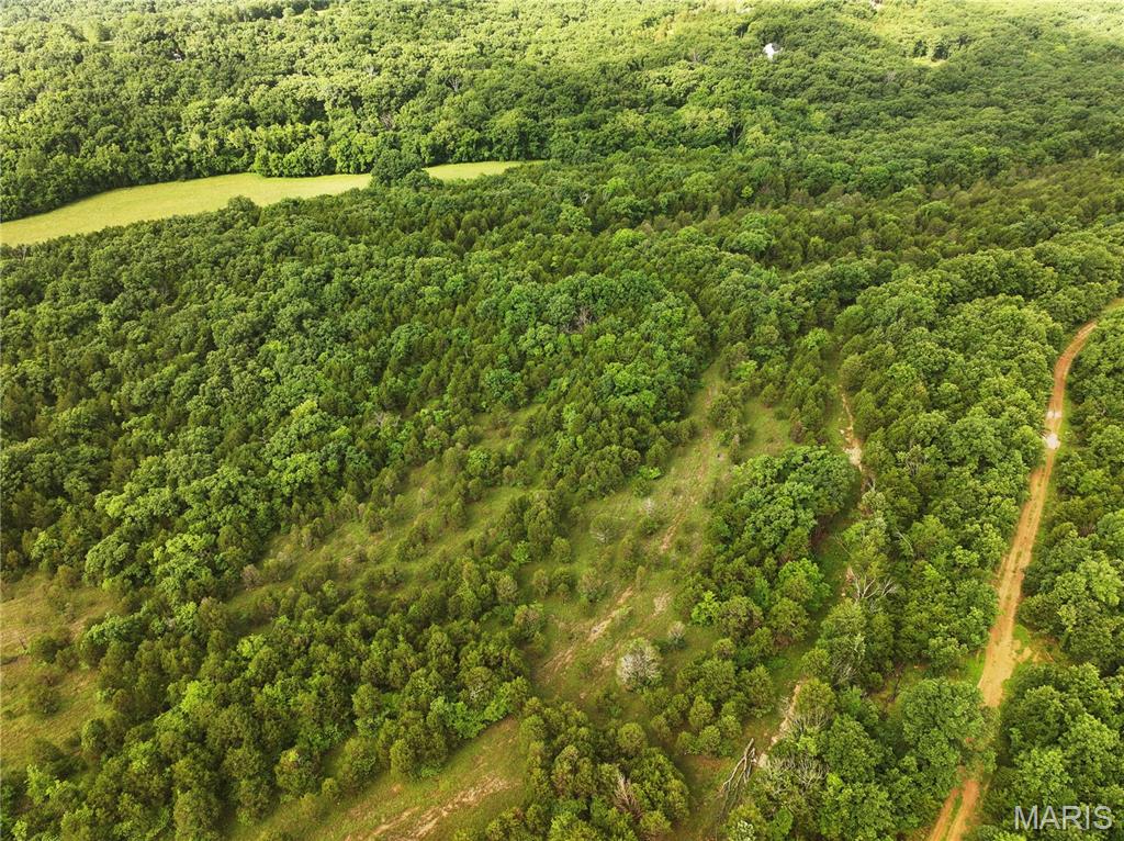 Tract 1 Plattin Road Property Photo 10