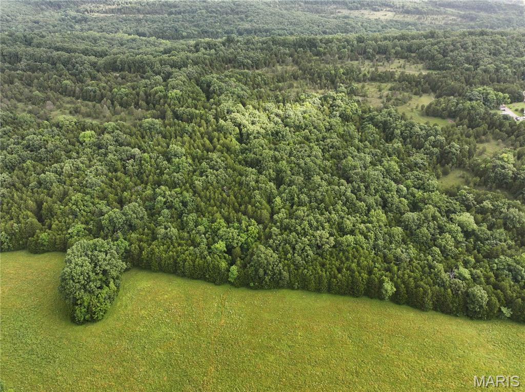 Tract 1 Plattin Road Property Photo 13