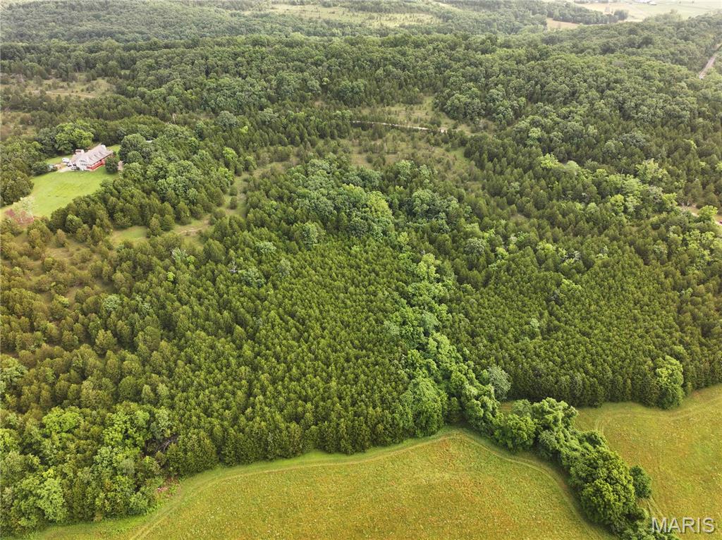Tract 1 Plattin Road Property Photo 15