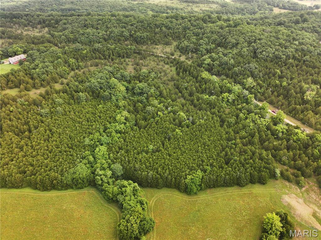 Tract 1 Plattin Road Property Photo 16