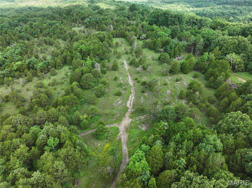 Tract 1 Plattin Road Property Photo 21