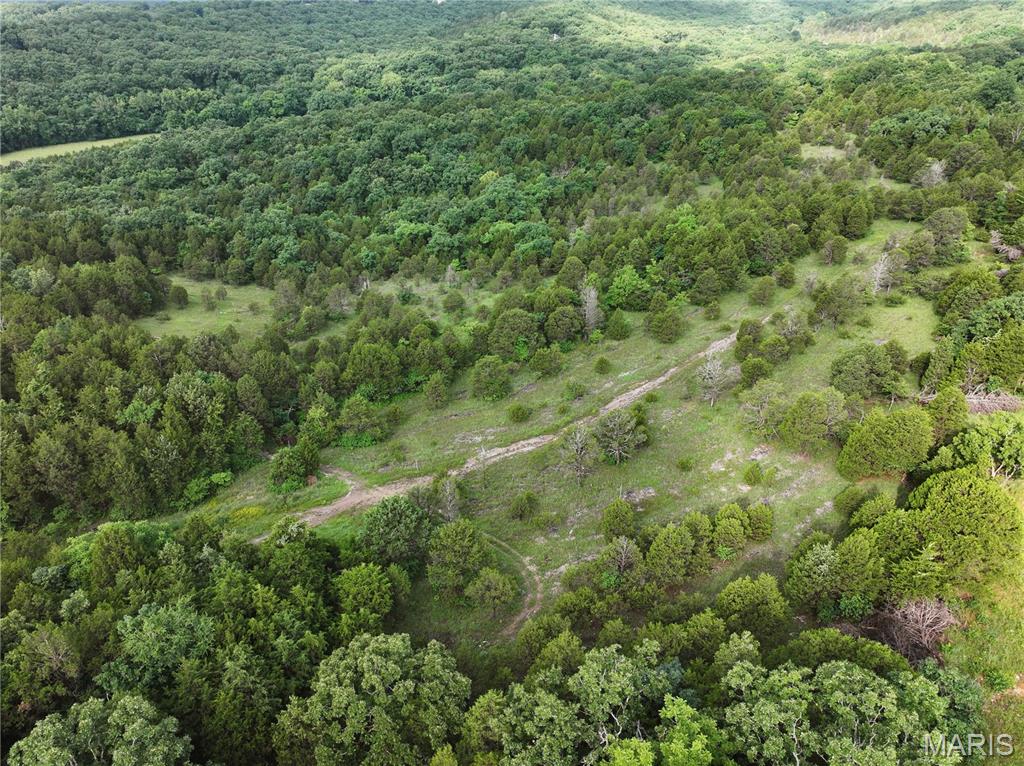 Tract 1 Plattin Road Property Photo 24