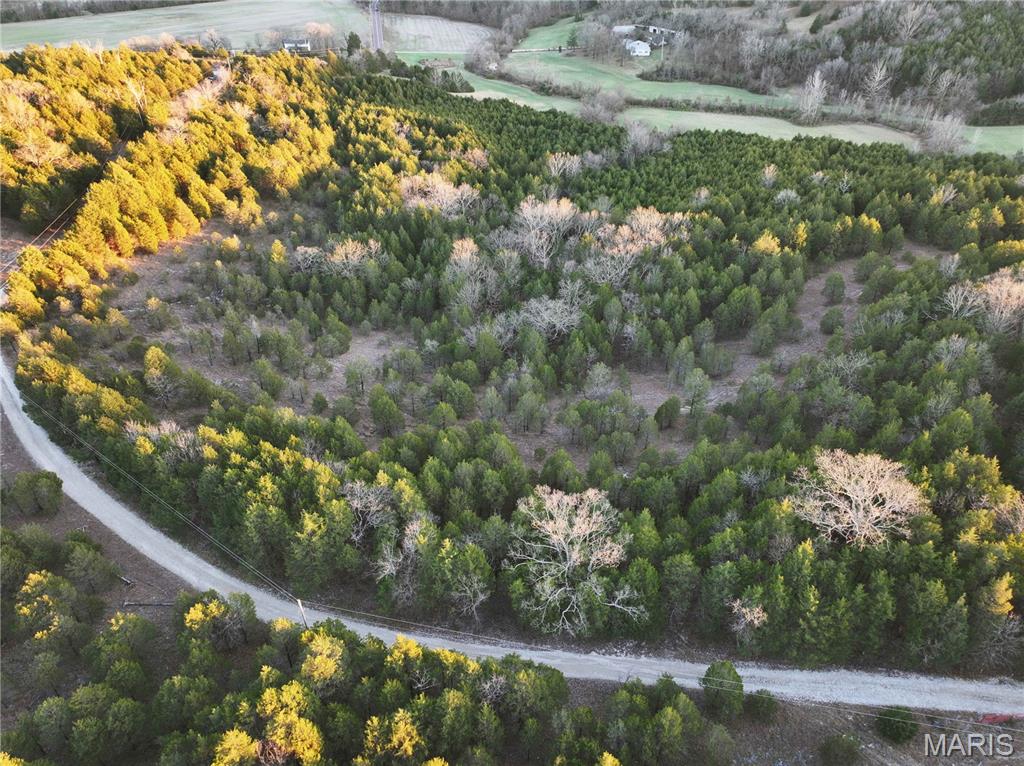 Tract 1 Plattin Road Property Photo 46