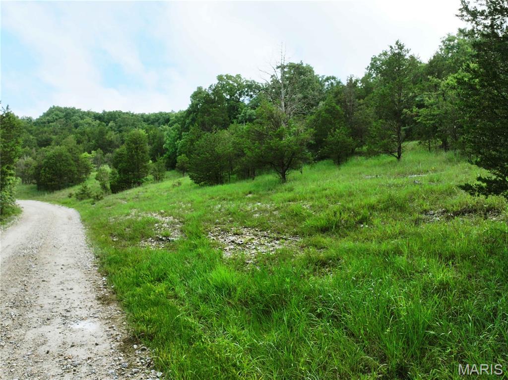 Tract 2 Plattin Road Property Photo 31